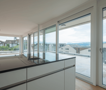 Erstvermietung: Einzigartige Attikawohnung mit Aussicht über das Re... - Foto 3