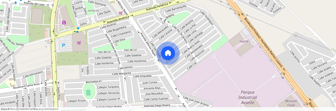 Calle Santiago, Paraje Santa Rosa, Apodaca, Nuevo León, 66610, México