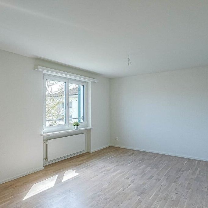 Apartment is looking for a single person - Photo 1