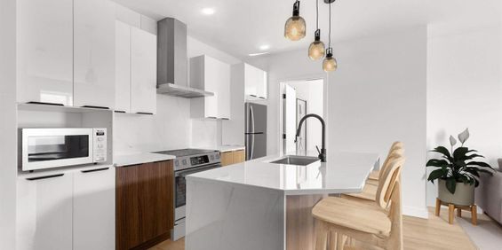 1 CH - 1 SDB - Montréal - $1,700 /mo - Photo 3