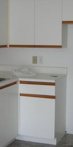 3.5 centre-ville Victoriaville - Photo 4