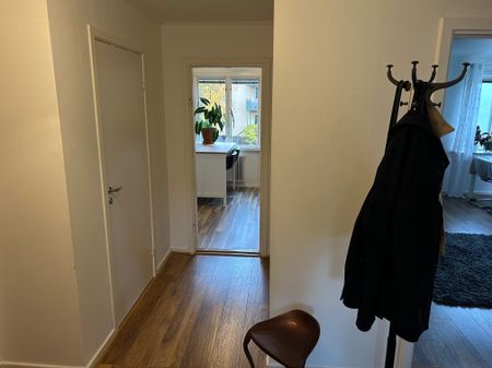 Lindengatan, Linköping - Foto 3