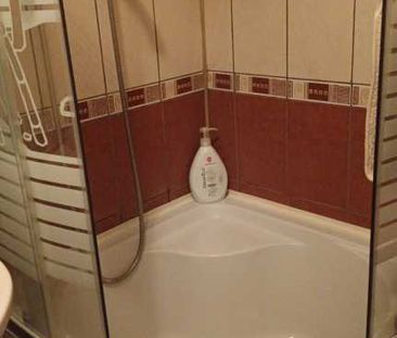 Apartament de inchiriat in Craiova, Dolj, Ultracentral, Str. Vasile... - Fotografie 6