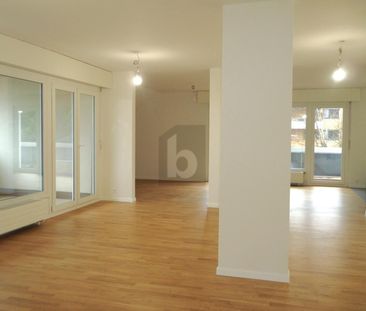 CONFORTABLE, SPACIEUX & WITH PANORAMA SUR LE LAC - Photo 3