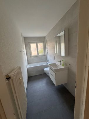 Wohnung am Stadtrand von Zürich zu vermieten - Foto 1