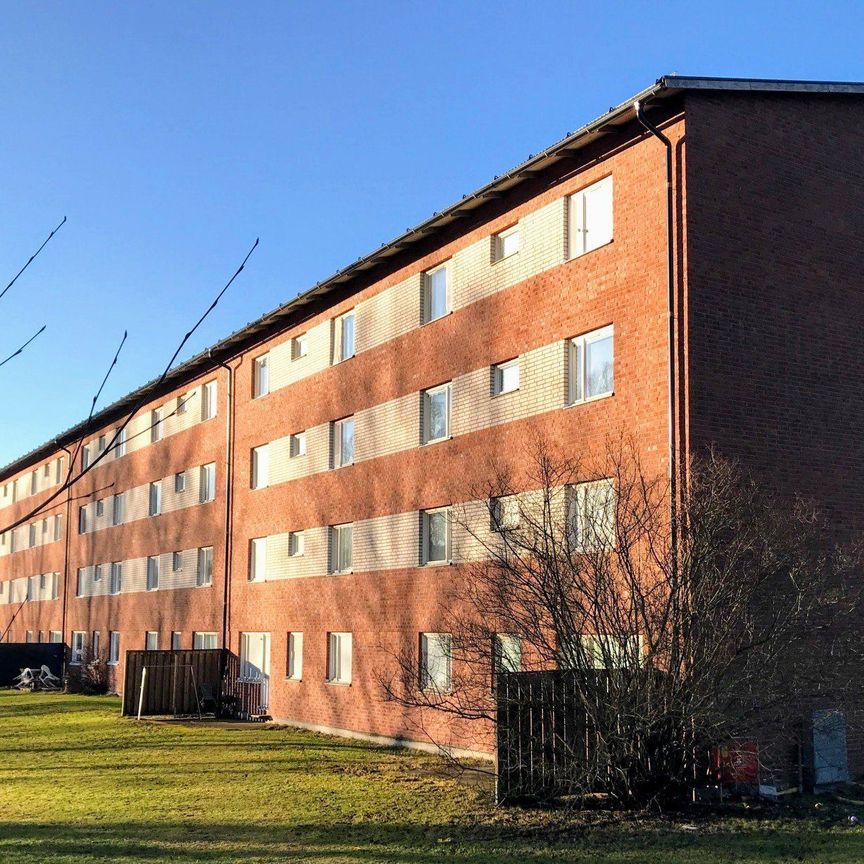 Skogvaktaren - Foto 1