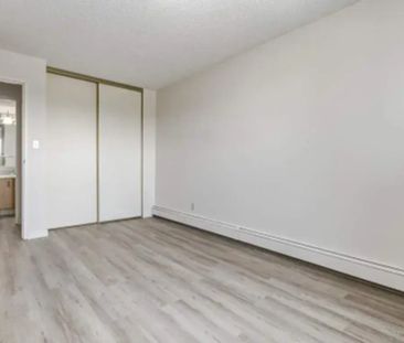 1 Bedroom - Photo 4