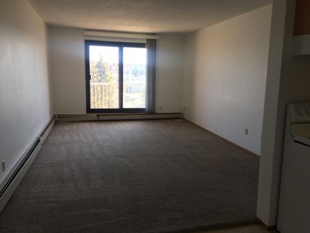 Totem II Apartments – 2 Bedroom - Photo 2