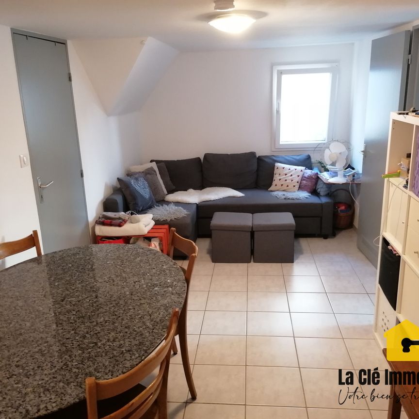 Location Appartement 1 pièce 32m² HEGENHEIM 68220 - Photo 1