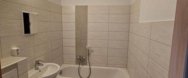 Geräumige Single-Wohnung - Photo 1