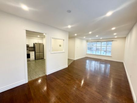 For Lease - 59 Carlton Road, Markham, Ontario - Photo 4