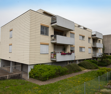 Sanierte helle 3.5-Zimmerwohnung in Allschwil - Photo 6