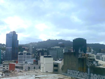 11th floor sunny 1 bedroom -Elevate Apartments - Photo 2