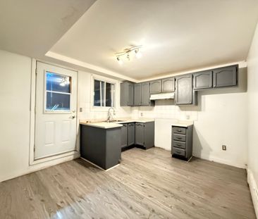 2420 Boul. Pie IX, Montréal (Mercier, QC H1V - Photo 3