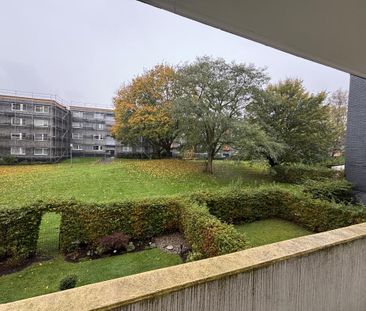 3-Zimmer Wohnung in Laer mit WBS - Foto 3