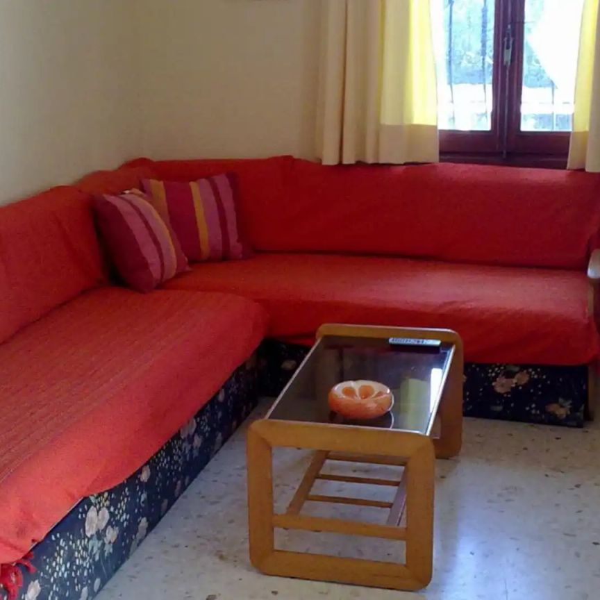 Apartamento de alquiler en Carrer Òliba, 44, El Palmar - Los Molinos - Foto 1