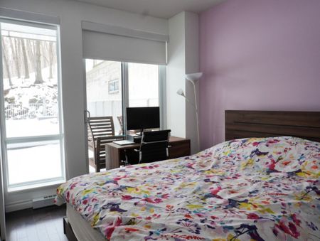 4500 Ch. de la Côte-des-Neiges, #211 - Photo 2