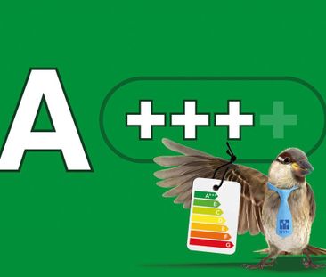 Appartement te huur: Treilerdwarsweg 116 2583 DA Den Haag - Foto 1