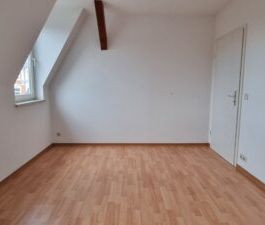Reißiger Str. 119, Wohnung 7 ~~~ Balkon, Tageslichtbad mit Wanne, K... - Photo 2