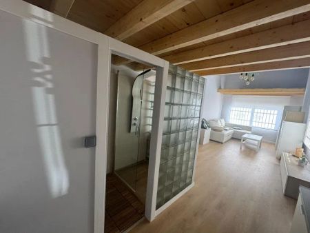 Alquiler de estudio en Avenida Carlota Alessandri, 170 - Photo 4