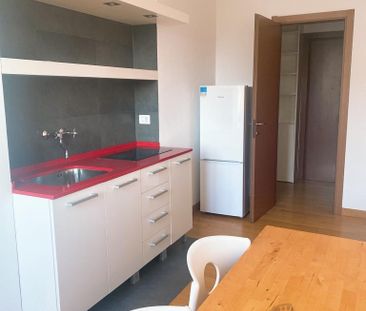 Большая однокомнатная квартира метро De Angeli - Photo 4