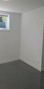 logement 4 1/2 Marieville electros inclus - Photo 3