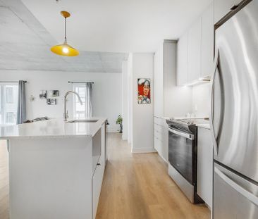 Appartement à Montréal (Mercier/Hochelaga-Maisonneuve) - Photo 2