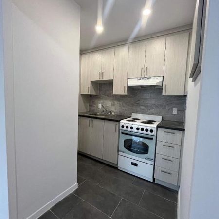 1 CH - 1 SDB - Montréal - $1,350 /mo - Photo 3