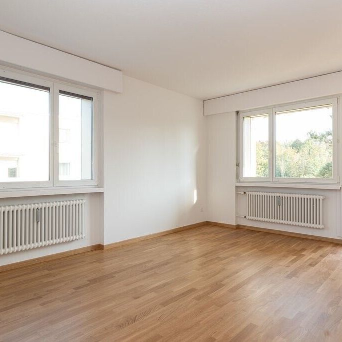 Cozy 3.5 room apartment in a quiet neighborhood - Foto 1