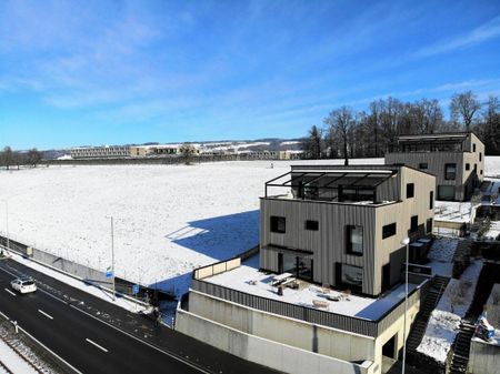 5.5 Zimmer, 175 m², EG - Foto 3