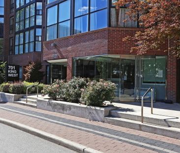 701 King St W #301 - Photo 6