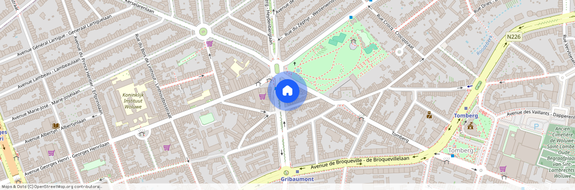 Avenue du Roi Chevalier, 48, 1200, Woluwe-Saint-Lambert