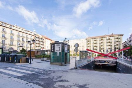 Plaza de Pedro Zerolo, Madrid, Community of Madrid 28004 - Photo 4