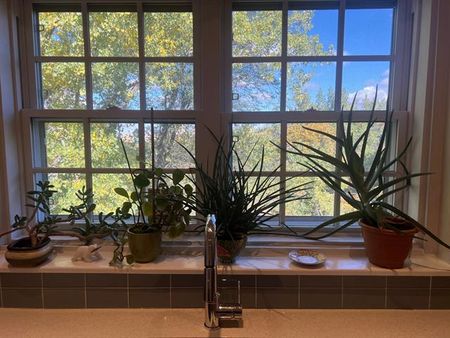 3445 Av. Ridgewood - Photo 5