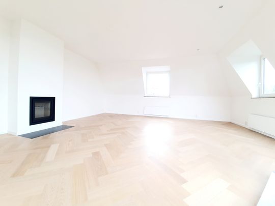 TENBOSCH - Duplex PENTHOUSE with views on Parc! - Photo 1