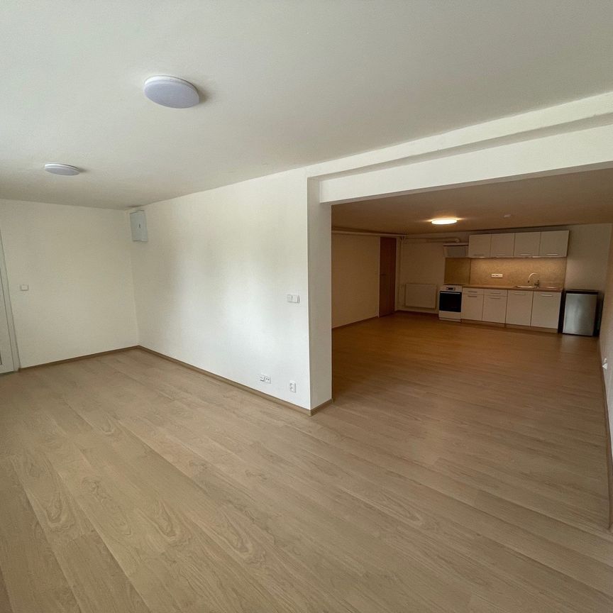 Pronájem bytu 1+kk a garsoniéry 47 m², Troskotovice - Photo 1