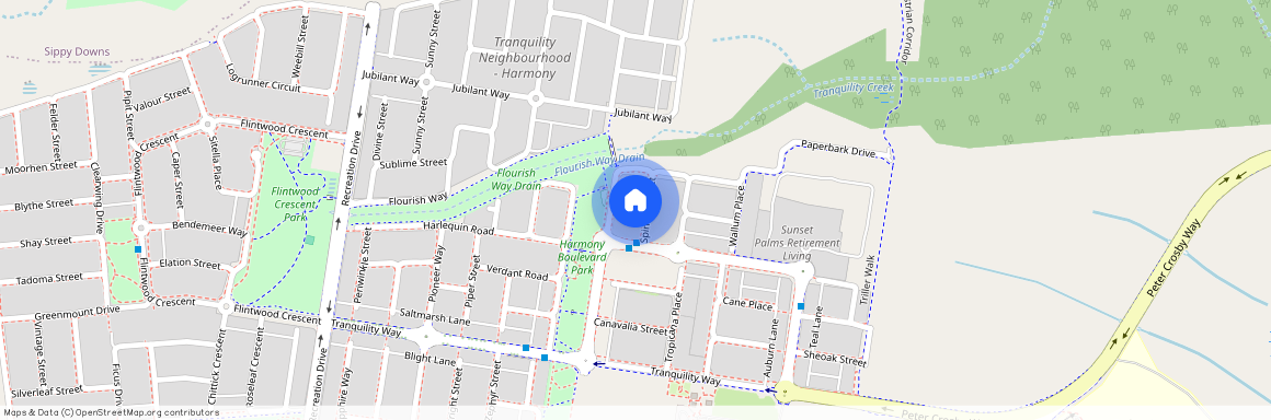 9 Spinifex Street, Palmview