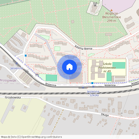 ul. Bienia, Wrzosowiak, Częstochowa, śląskie