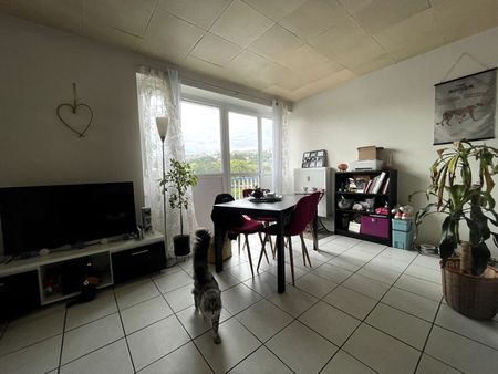 Location appartement 2 pièces, 46.72m², Épinal - Photo 5