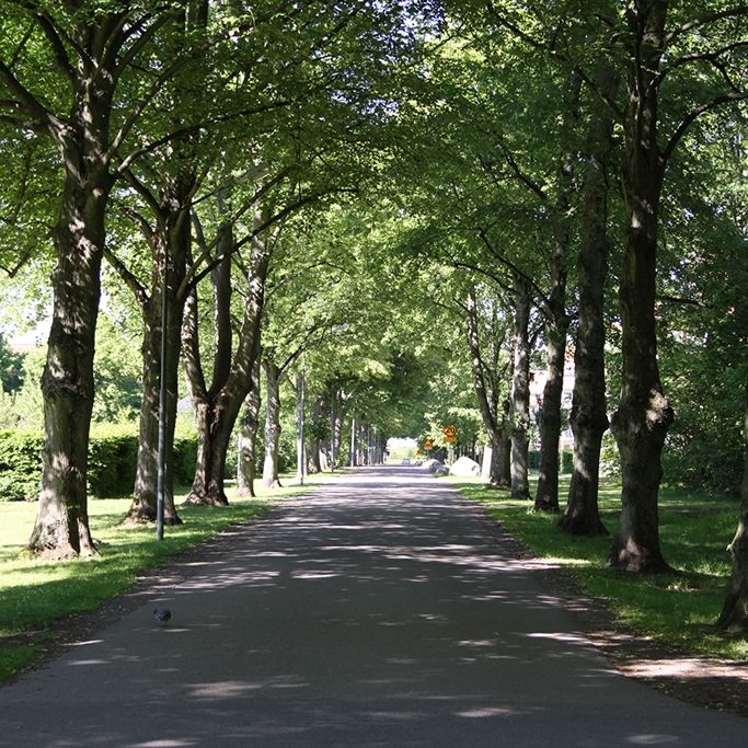 Talgoxegatan 10 - Foto 1