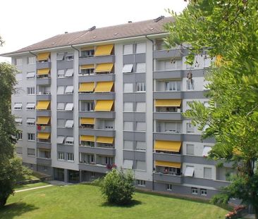 2 Zimmer, 65 m², 3. Stock - Foto 3