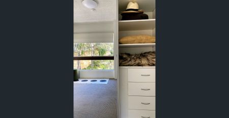 One Bedroom in Stunning Elizabeth Bay - Photo 4