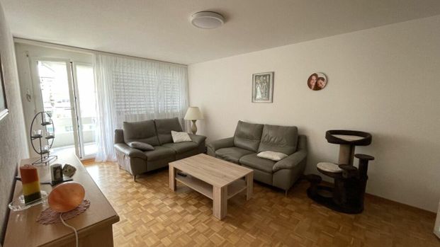 Grosszügige 3.5 Zimmerwohnung - Photo 1