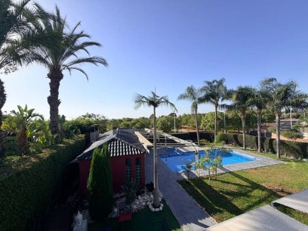 Elche / Elx - Photo 2