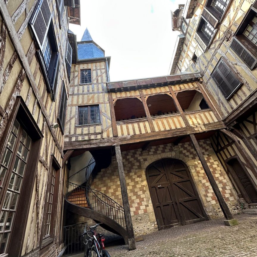 A LOUER APPARTEMENT TYPE 2 CŒUR DU CENTRE-VILLE DE TROYES - Photo 1