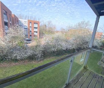 Todd Close, Borehamwood, WD6 - Photo 3