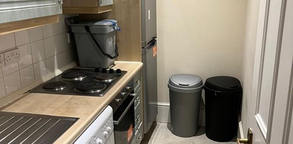 Room in a Shared Flat, Ongar Road, SW6 - Photo 2