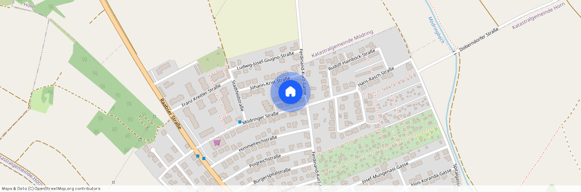 Mödringerstraße 45, 3580, Horn