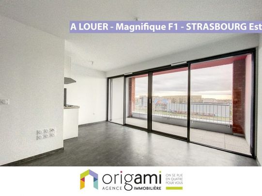 STRASBOURG Est - Magnifique studio avec vue - Photo 1