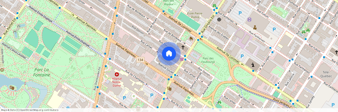 2049 Rue Cartier, Ville-Marie, Ville-Marie, Ile de Montréal, H2K 4J5